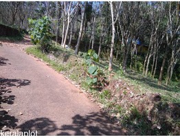 28 cents of beautiful land with lush green rubber plantations at Peruva town FOR GENUINE BUYERS ONLY