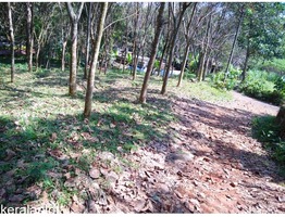 28 cents of beautiful land with lush green rubber plantations at Peruva town FOR GENUINE BUYERS ONLY