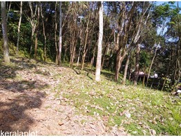 28 cents of beautiful land with lush green rubber plantations at Peruva town FOR GENUINE BUYERS ONLY