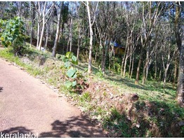 28 cents of beautiful land with lush green rubber plantations at Peruva town FOR GENUINE BUYERS ONLY