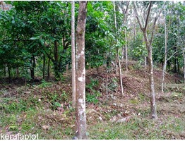 1 acre 15 cents land for sale near Mankulam junction in Idukki district