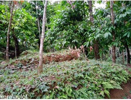 1 acre 15 cents land for sale near Mankulam junction in Idukki district