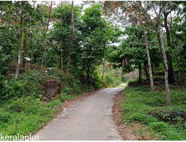 1 acre 15 cents land for sale near Mankulam junction in Idukki district