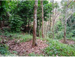 1 acre 15 cents land for sale near Mankulam junction in Idukki district