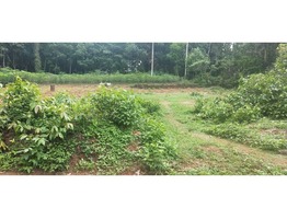 60 cents residential land for sale near medical college in Kottayam district