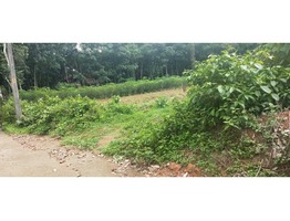 60 cents residential land for sale near medical college in Kottayam district