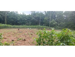 60 cents residential land for sale near medical college in Kottayam district