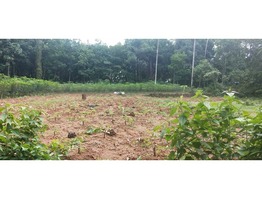 60 cents residential land for sale near medical college in Kottayam district