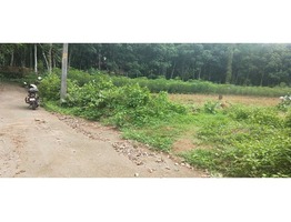 60 cents residential land for sale near medical college in Kottayam district