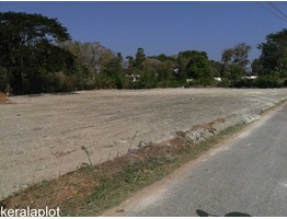 65 cent commercial land for sale, facing Salem-Kochi Highway