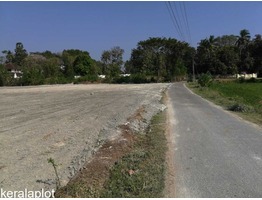 65 cent commercial land for sale, facing Salem-Kochi Highway