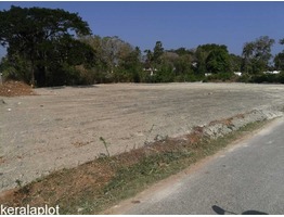 65 cent commercial land for sale, facing Salem-Kochi Highway