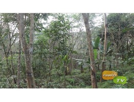 55 Cent Residential Land For Sale in Thiruvanthapuram