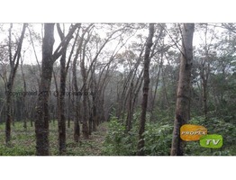 55 Cent Residential Land For Sale in Thiruvanthapuram