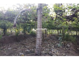 2.15 acre Agriculture land  for sale  near Padichira @ 60 lakh…..