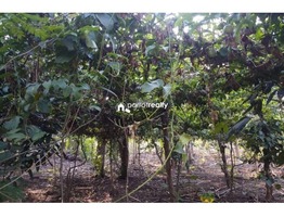 2.15 acre Agriculture land  for sale  near Padichira @ 60 lakh…..