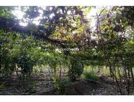 2.15 acre Agriculture land  for sale  near Padichira @ 60 lakh…..