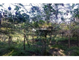 2.15 acre Agriculture land  for sale  near Padichira @ 60 lakh…..