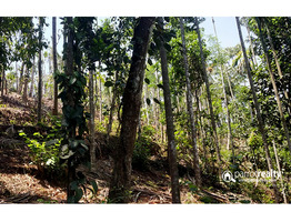 3.10 acre Resort purpose land for sale in kallody @ 30lakh/acre