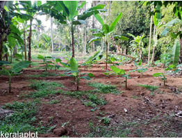 House plot for sale at Angamali Kidangoor