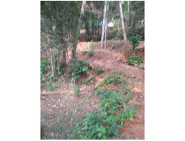 25 cent land for sale