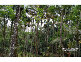 5.50 acre investment purpose land in Alattil near valad @ 20 lakh/acre