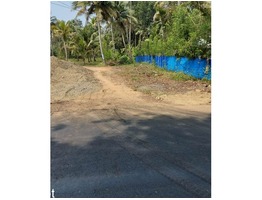 Residential land for sale in Panavally