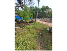 Residential land for sale in Panavally