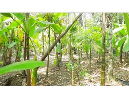 30 Cent  land sale near puthakkad junction thrissur district