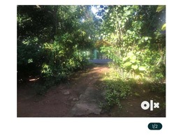 30 Cent  land sale near puthakkad junction thrissur district