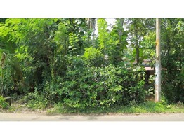 30 Cent  land sale near puthakkad junction thrissur district