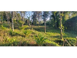 20 cent plot for sale near Rajakkad