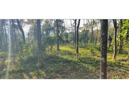 20 cent plot for sale near Rajakkad