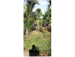 8.5 cents residential land for sale near Mala,  Annamanada junction in Thrissur district