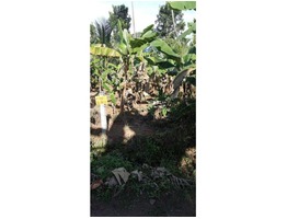 8.5 cents residential land for sale near Mala,  Annamanada junction in Thrissur district