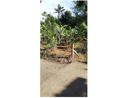 8.5 cents residential land for sale near Mala,  Annamanada junction in Thrissur district