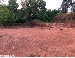 Residential Land for Sale