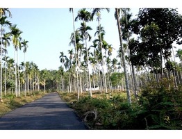 House plot for sale in Meenangadi @ 1.5lakh/cent…