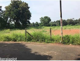 Commercial Land for Sale in Pathiripala (Palakkad)