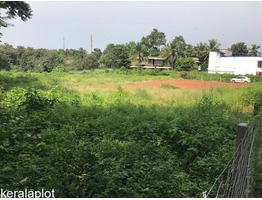 Commercial Land for Sale in Pathiripala (Palakkad)