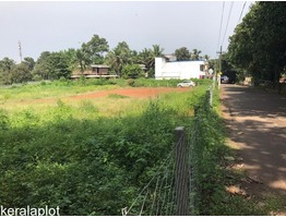 Commercial Land for Sale in Pathiripala (Palakkad)