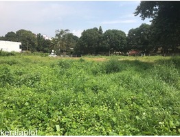 Commercial Land for Sale in Pathiripala (Palakkad)