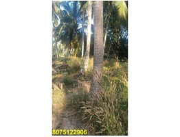 Land for sale in sreekaryam