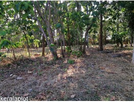 Residential land for sale Velappaya.