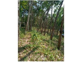 property for sale in Nedumagadu