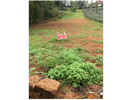 Villa plot for sale at Kolenchery town