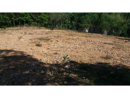 50 cent plain land in Thiruvananthapuram