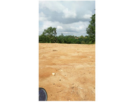 50 cent plain land in Thiruvananthapuram