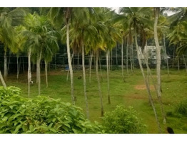 Farm land for sale in Vaikom