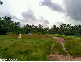 Farm land for sale in Vaikom